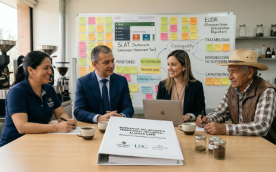 Inclusive Agreements: The Missing Pillar of Sustainable Coffee Supply Chains.